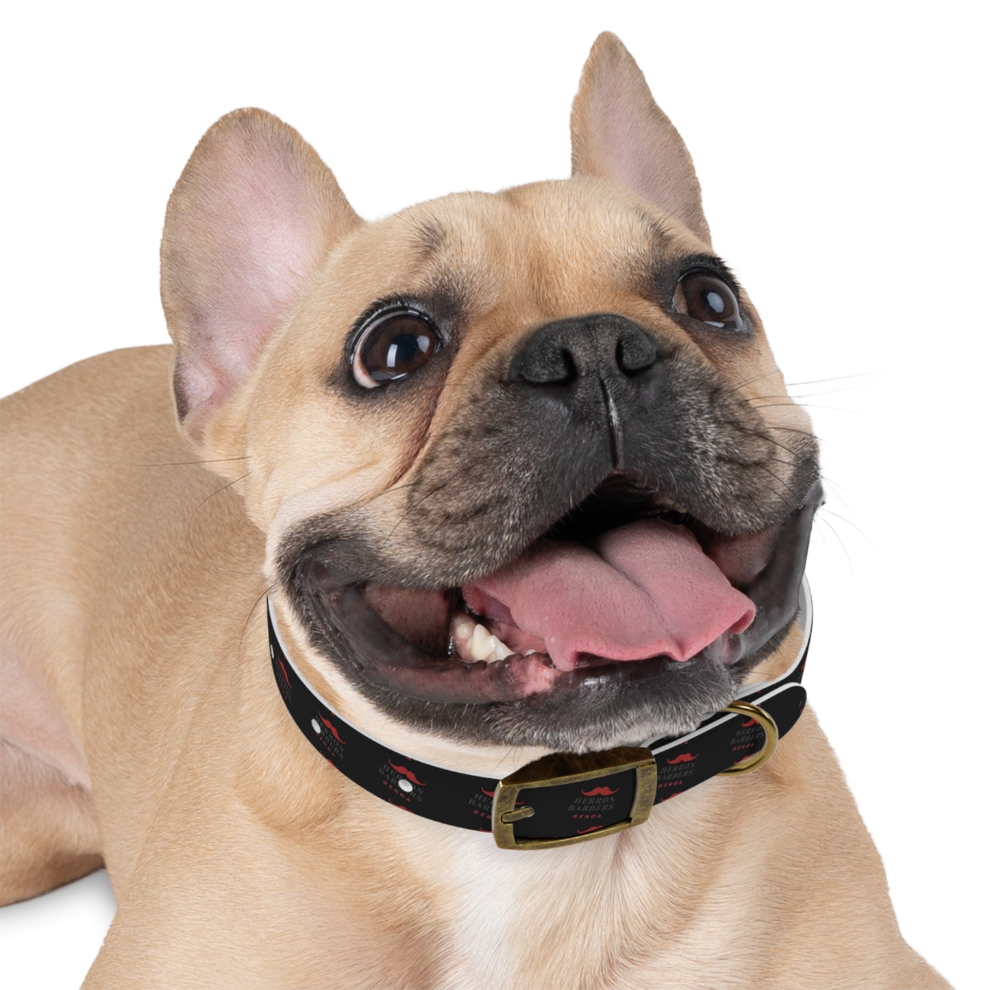 Herron Barber Logo Dog Collar