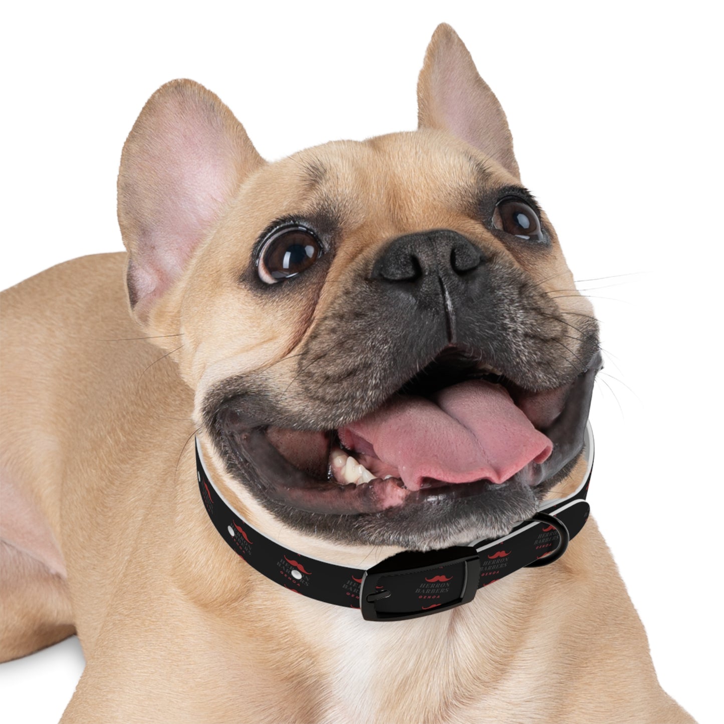 Herron Barber Logo Dog Collar