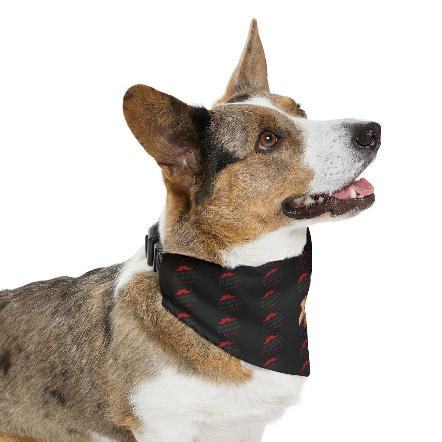 Herron Barber Logo Pet Bandana Collar